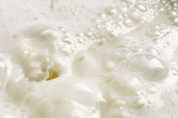 Идеальная молочная пенка